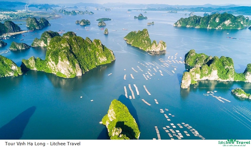 ha-long-bay-litcheetravel